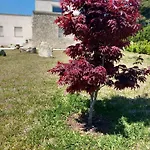 9 Cavalieri *